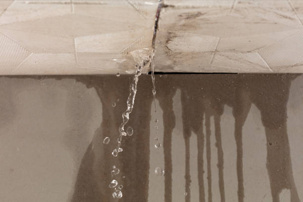 Professional Structural Drying technician working in Tehuacana, TX